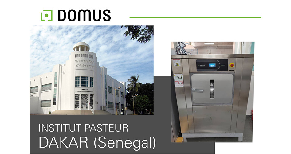 institute_pasteur_link-1015